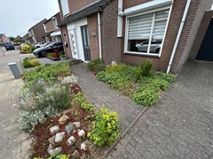 Overbroekerf 26001a.JPG